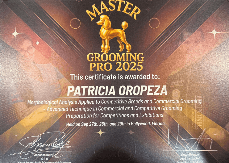 Master Groomer Certification