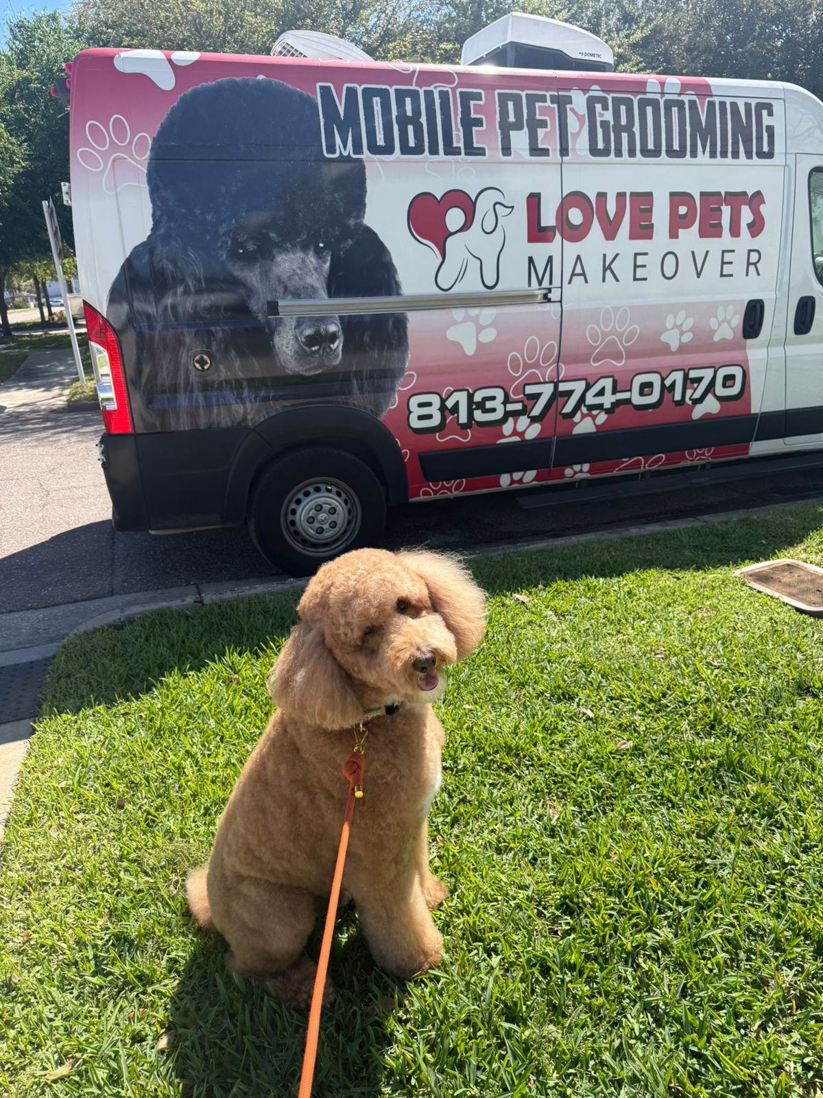 Love Pets Makeover Mobile Van