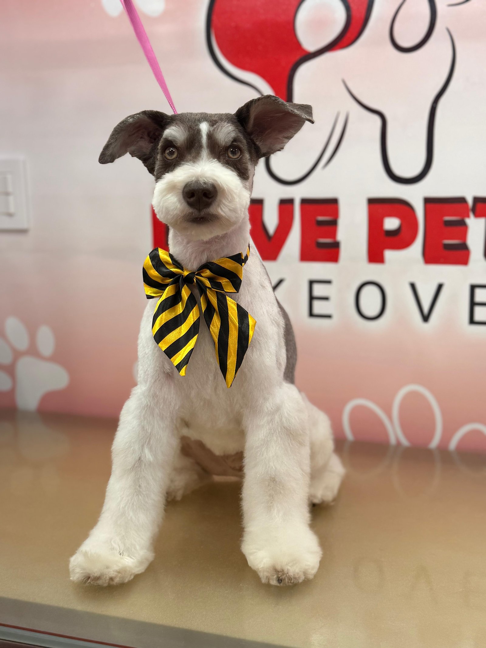After Grooming