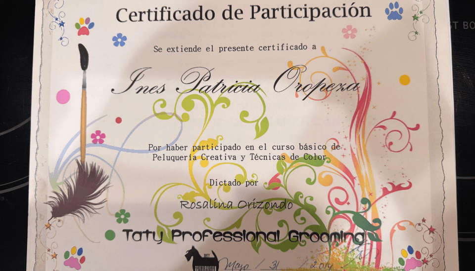 Certificado Peluquería Creativa y Color