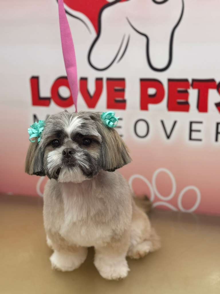 After Grooming